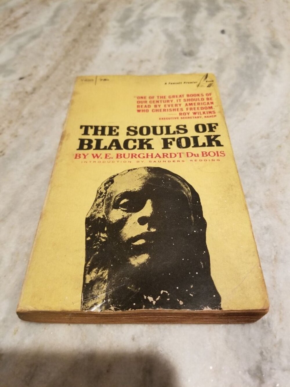 Book - The Souls of Black Folk - 1970